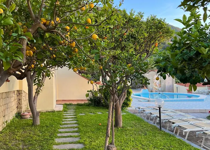 Ξενοδοχείο Flavio 3*