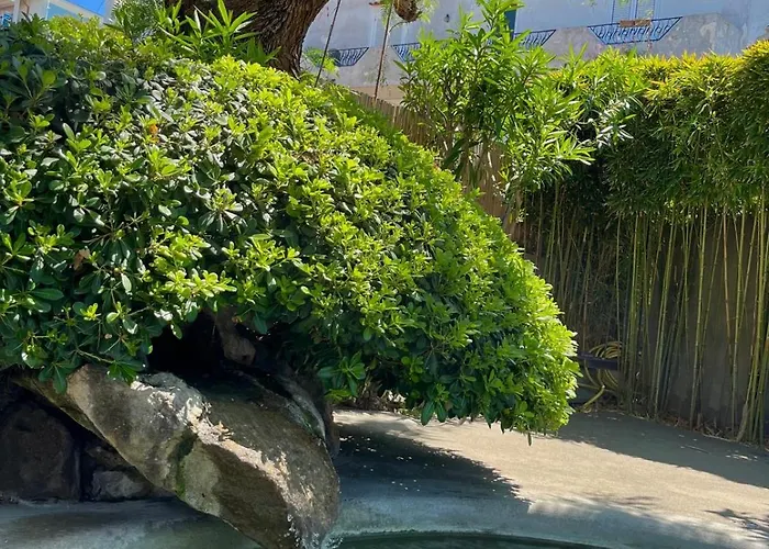 Flavio Ξενοδοχείο 3*