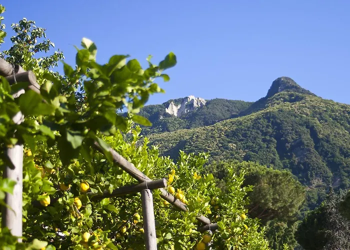 Flavio Casamicciola Terme