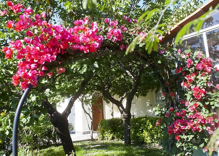 Flavio Ξενοδοχείο Casamicciola Terme