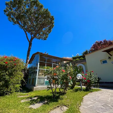 Flavio ホテル カザミッチョラ・テルメ