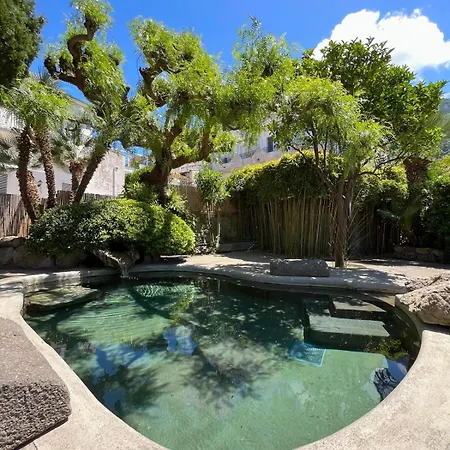 Flavio 3* カザミッチョラ・テルメ