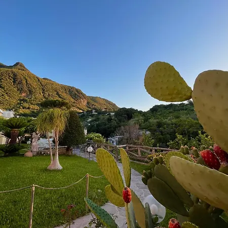 Отель Flavio 3*