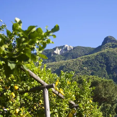 Flavio カザミッチョラ・テルメ